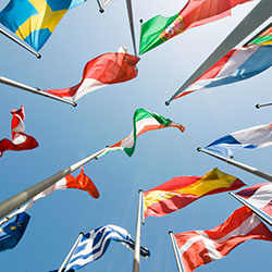 International Promo 250px International